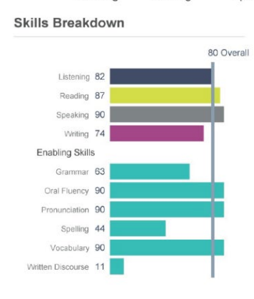 Example of a PTE report skills breakdown